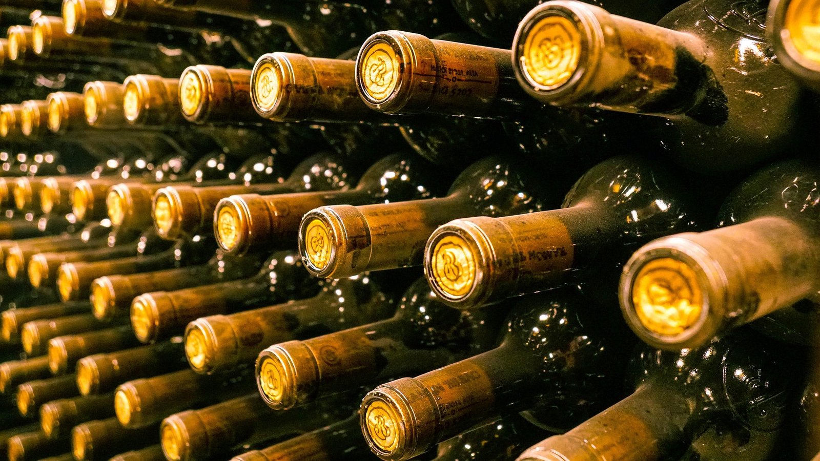 Colmenar Valley Vineyard Tasting